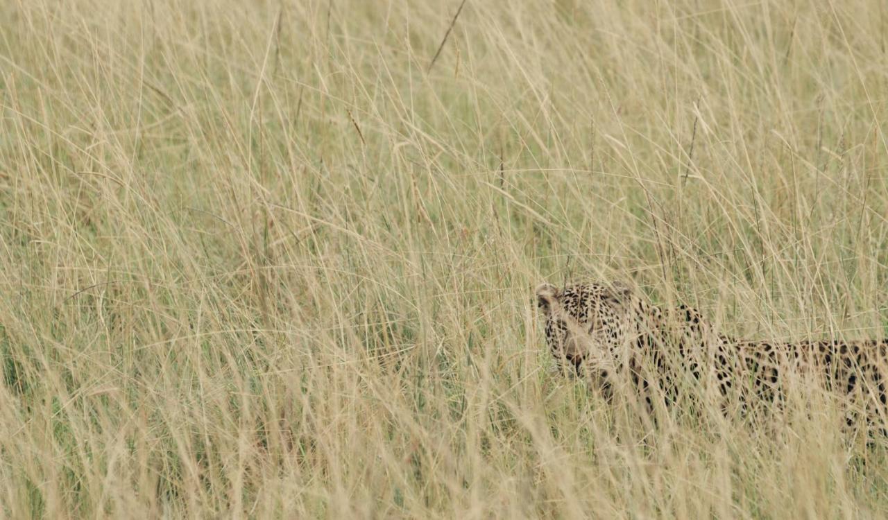 Ololo Safari Lodge Найроби Екстериор снимка