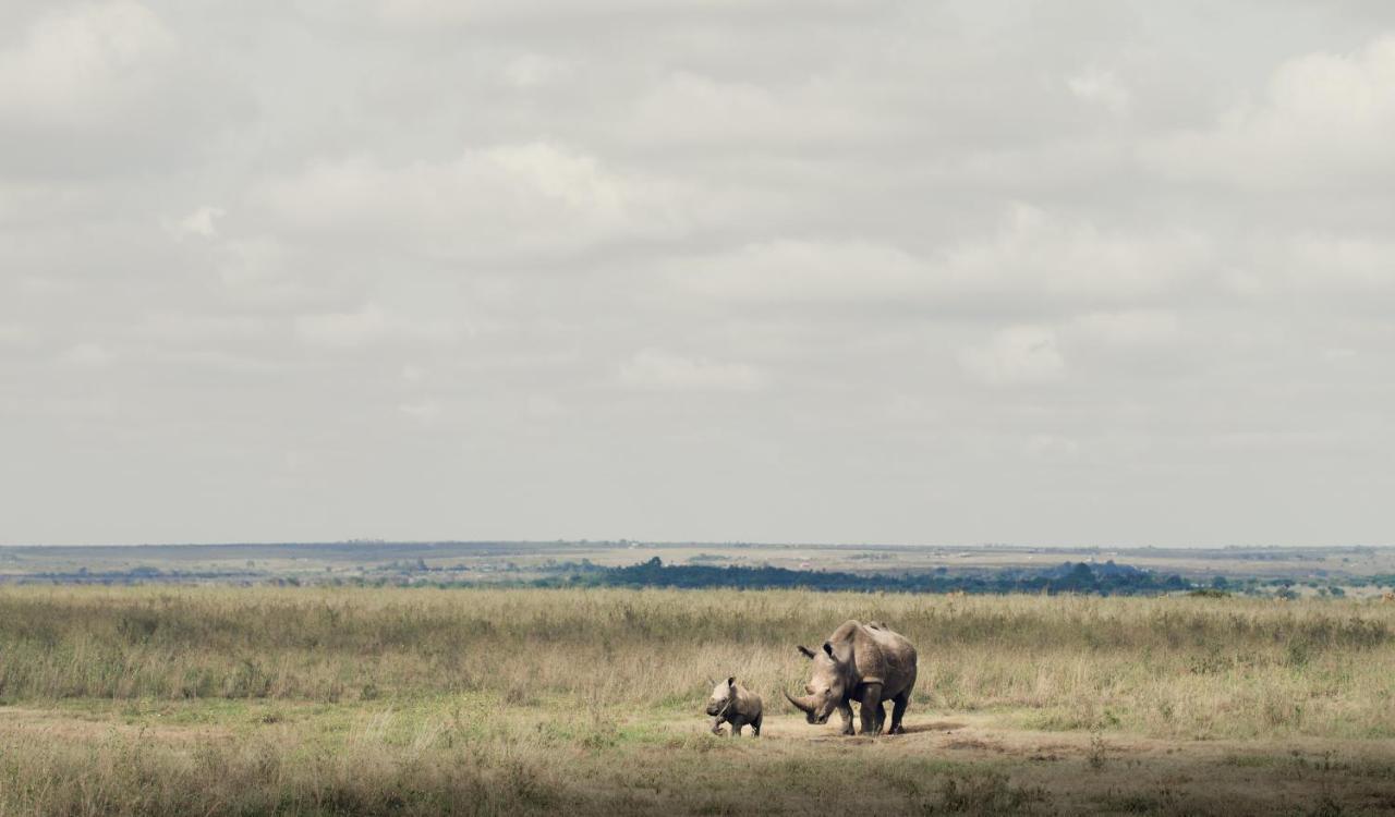 Ololo Safari Lodge Найроби Екстериор снимка